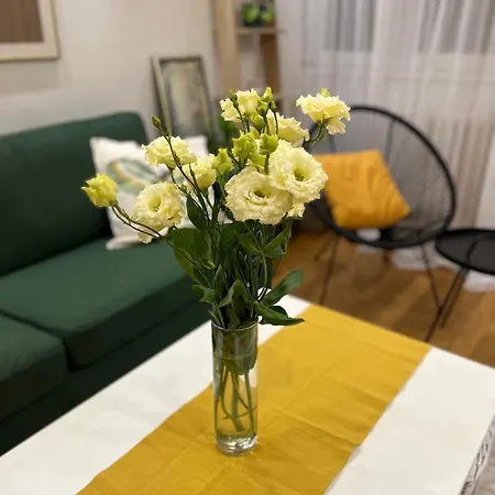 Happy Green Apartment
