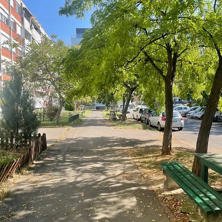 Happy Green Apartment