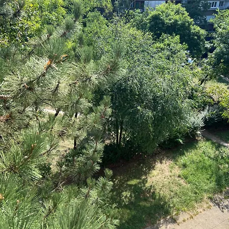 Happy Green Apartment